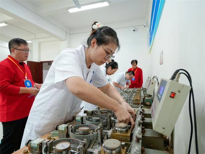 国标《土工试验方法标准》与《岩土工程勘察规范》在建设工程勘察中的核心作用与统筹应用